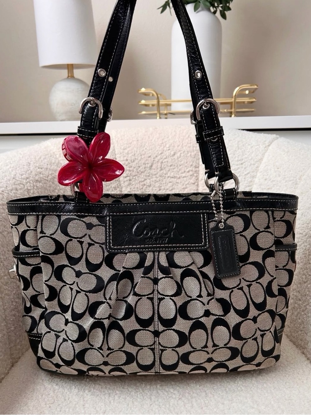 NOT SELLING LOOKING FOR A BAG (read bio please) - Picture 2 of 7